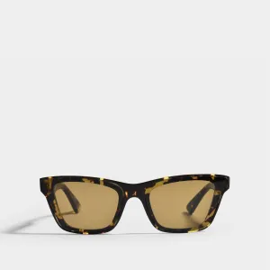 Lunettes de Soleil en Acétate Marron