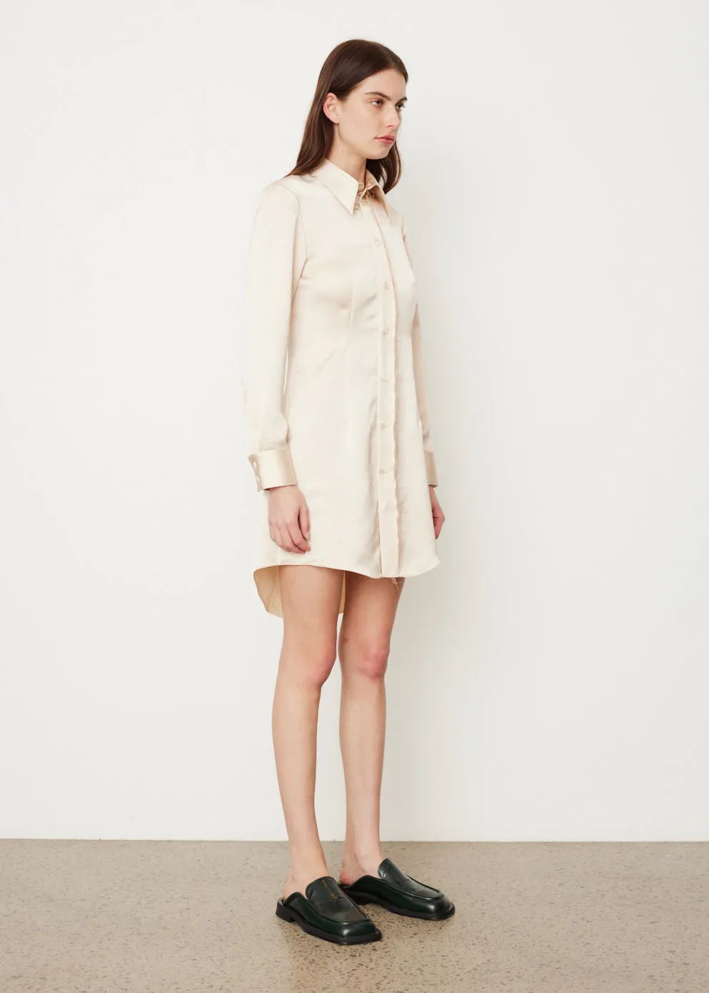 Satin Shirt Dress